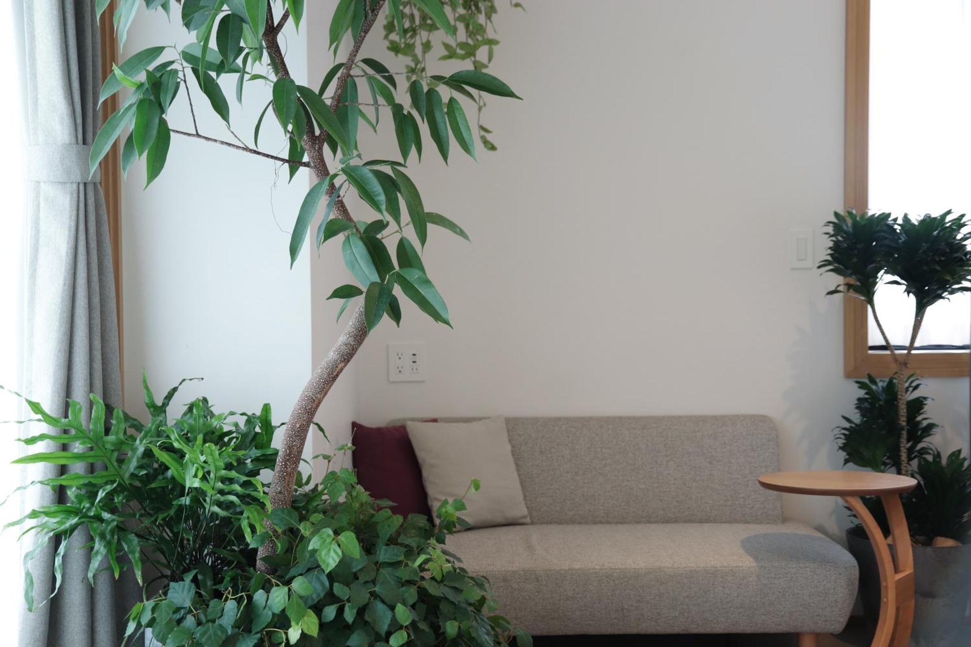 Hotel Noum Ósaka Pokoj fotografie
